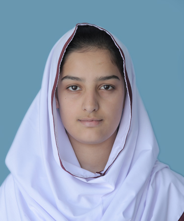 best abbottabad Schools