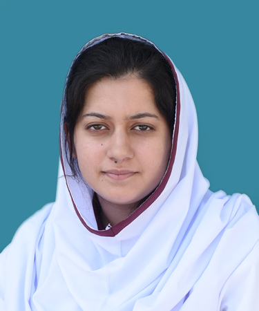 top ten abbottabad Schools