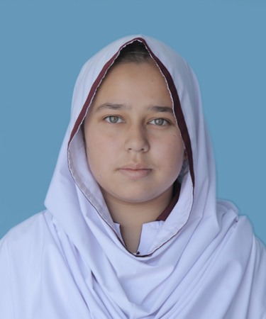 top 20 abbottabad Schools