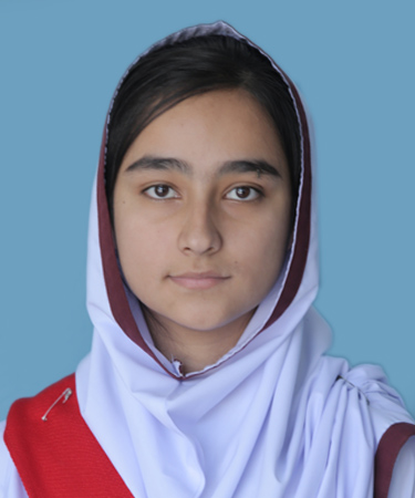 best abbottabad Schools