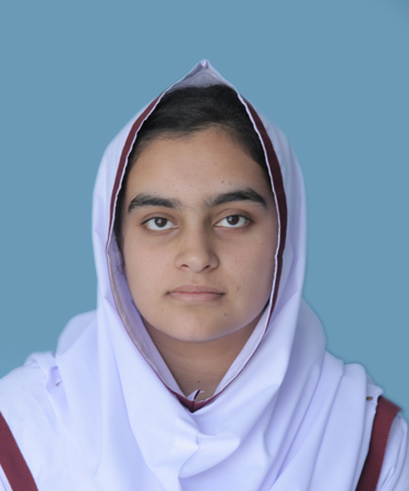 top ten abbottabad Schools