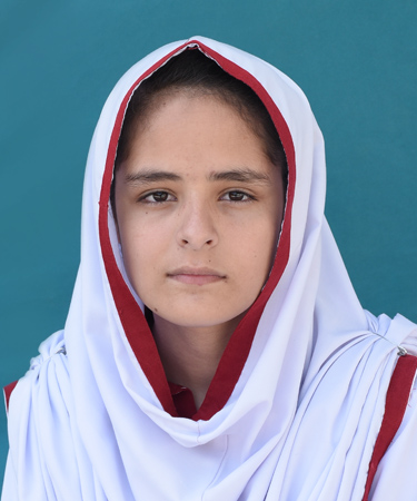 top 20 abbottabad Schools