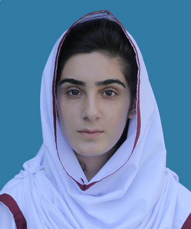 top ten abbottabad Schools