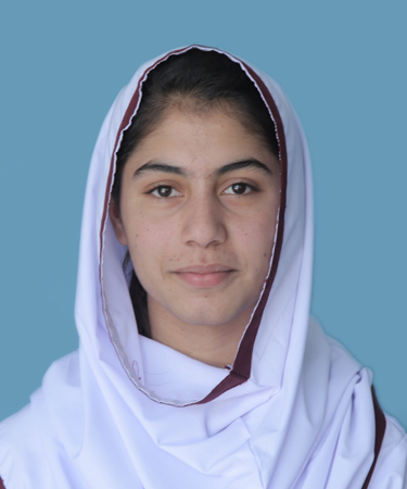 top ten abbottabad Schools