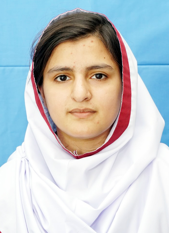 top ten abbottabad Schools