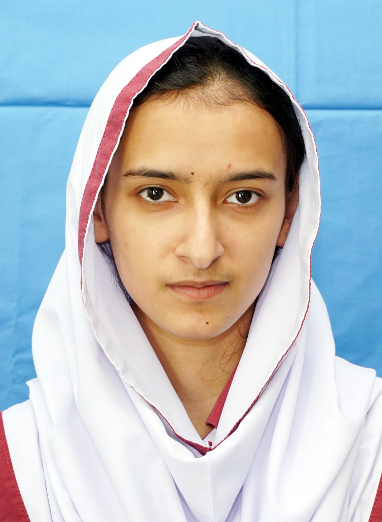 top 10 abbottabad Schools