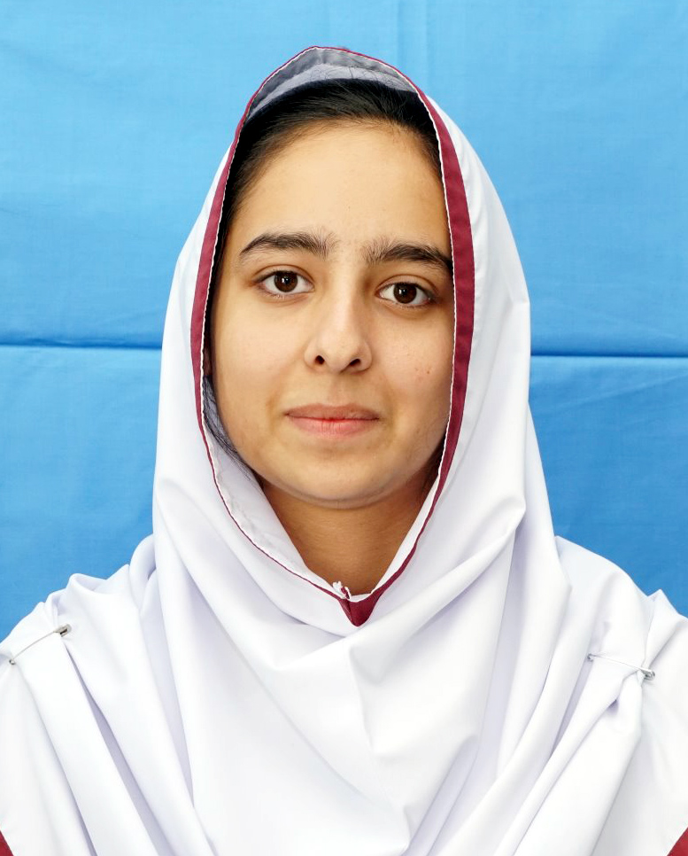 top ten abbottabad Schools