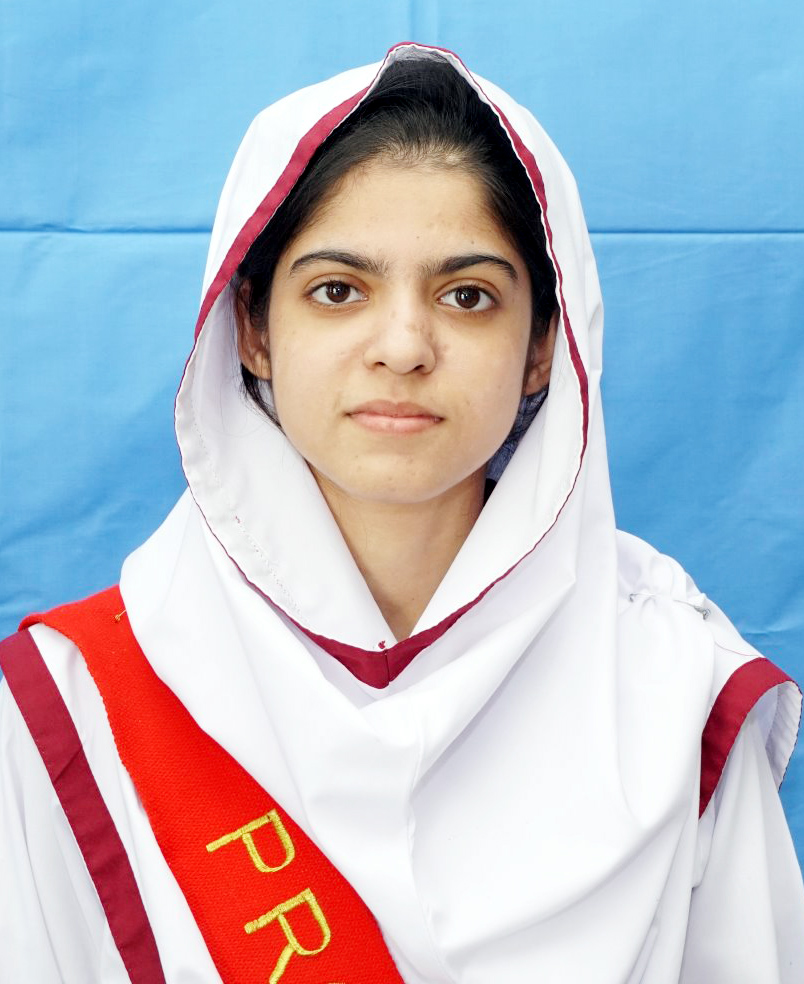 top ten abbottabad Schools