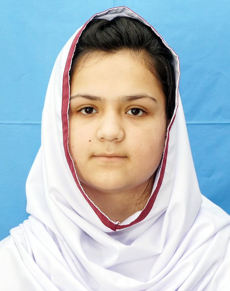 best abbottabad Schools