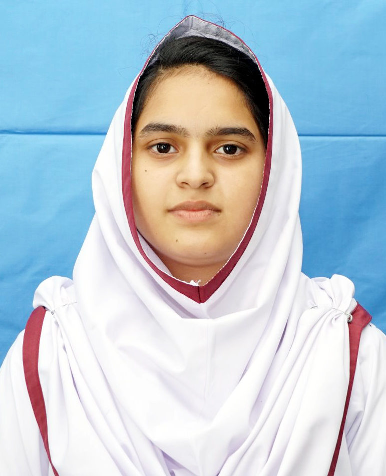 top ten abbottabad Schools