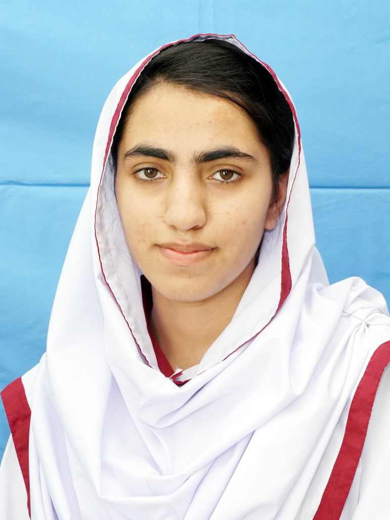 best abbottabad schools