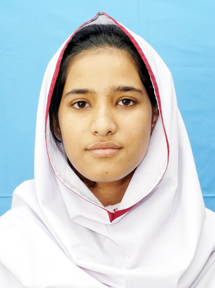 top ten abbottabad Schools