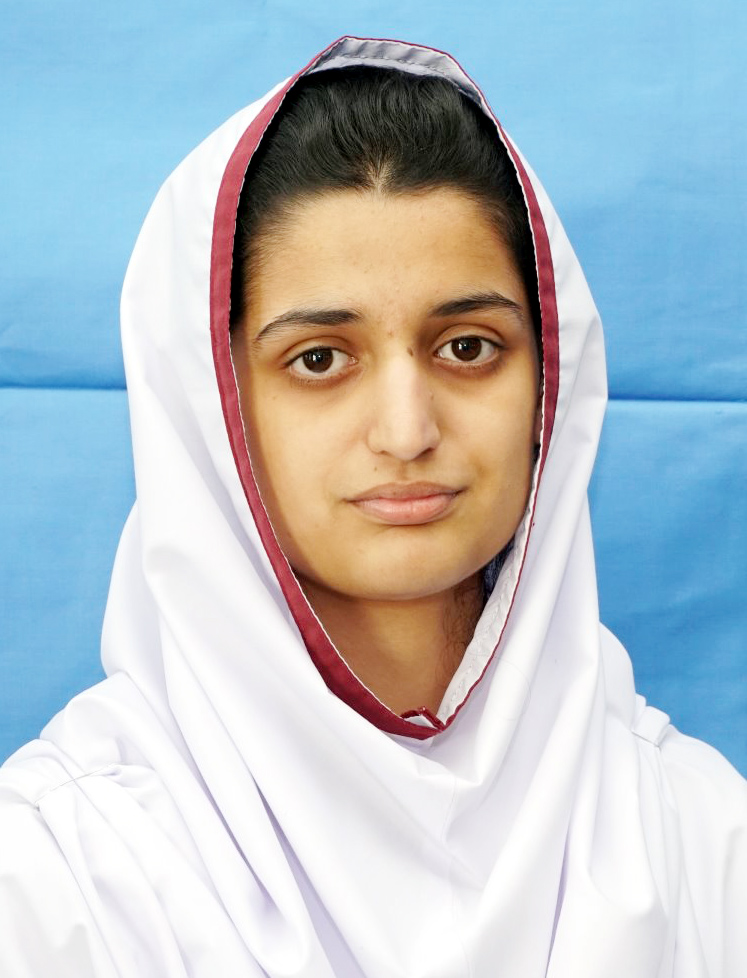 best abbottabad Schools