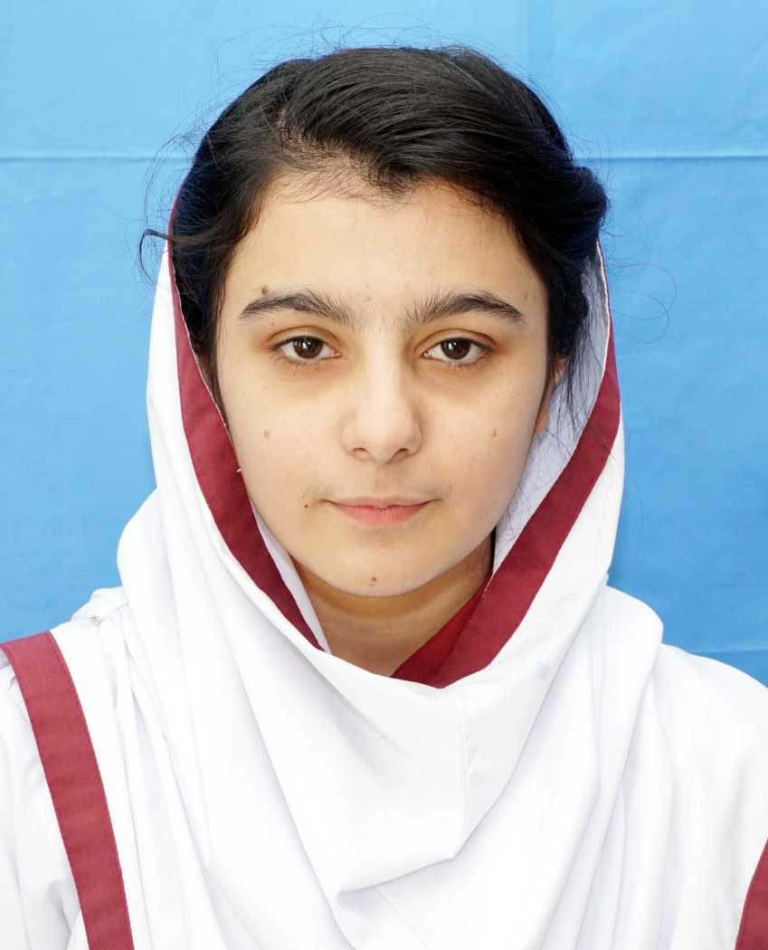 top ten schools in abbottabad