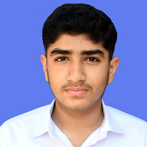 best abbottabad school