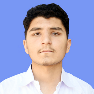 best abbottabad school