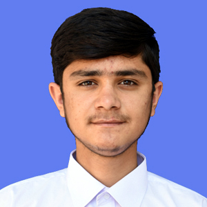 best abbottabad school