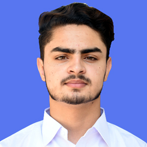 best abbottabad school