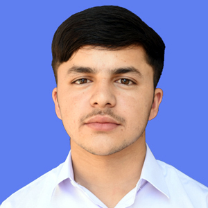 best abbottabad school