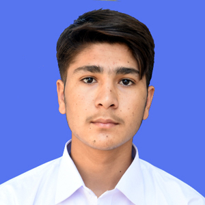 best abbottabad school