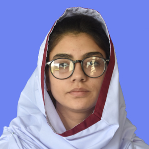 best abbottabad school