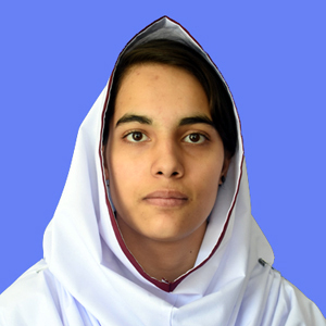 best abbottabad school