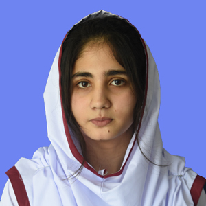 best abbottabad school