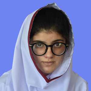 best abbottabad school