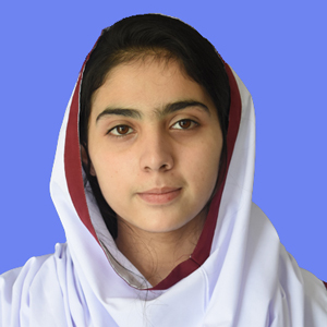 best abbottabad school