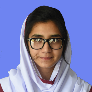 best abbottabad school