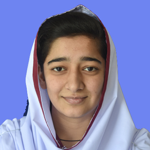 best abbottabad school