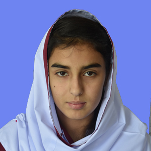 best abbottabad school