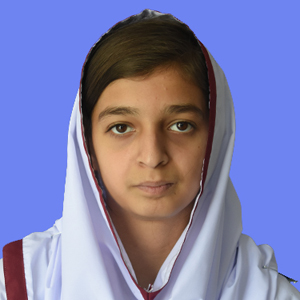 best abbottabad school