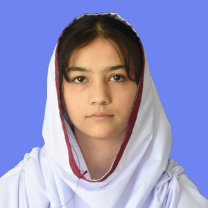 best abbottabad school