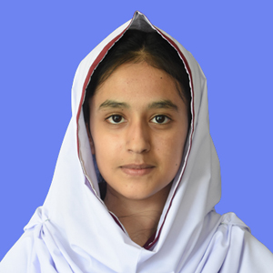 best abbottabad school