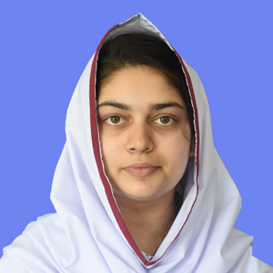 best abbottabad school