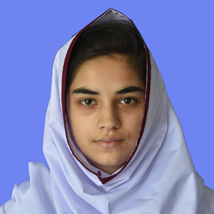 best abbottabad school