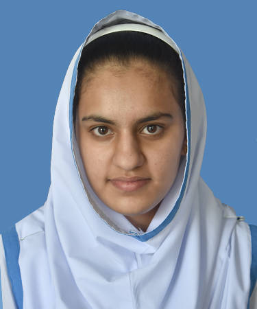 top schools in abbottabad