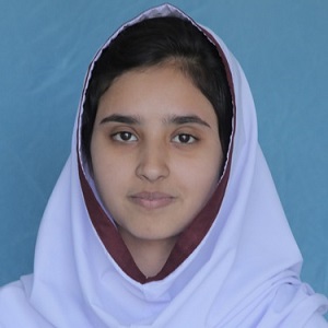 top ten schools in hazara