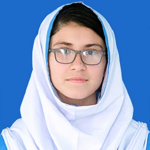 top ten schools in hazara